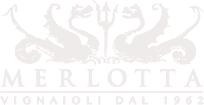 Logo Merlotta